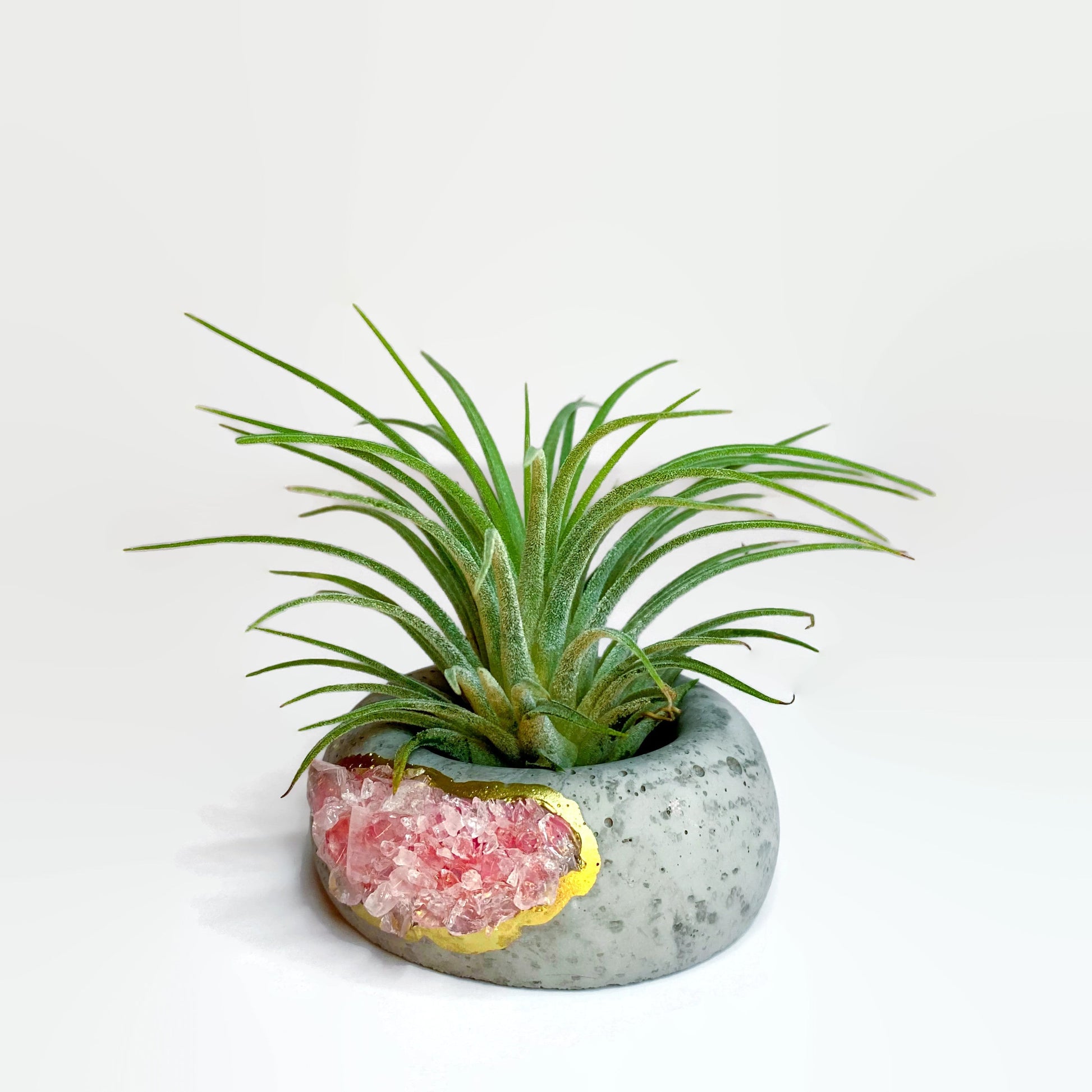 geode air plant holder Geode Air Plant Holder -Amazonite Crystal Planter
