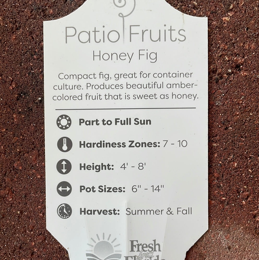 Patio fruits 2