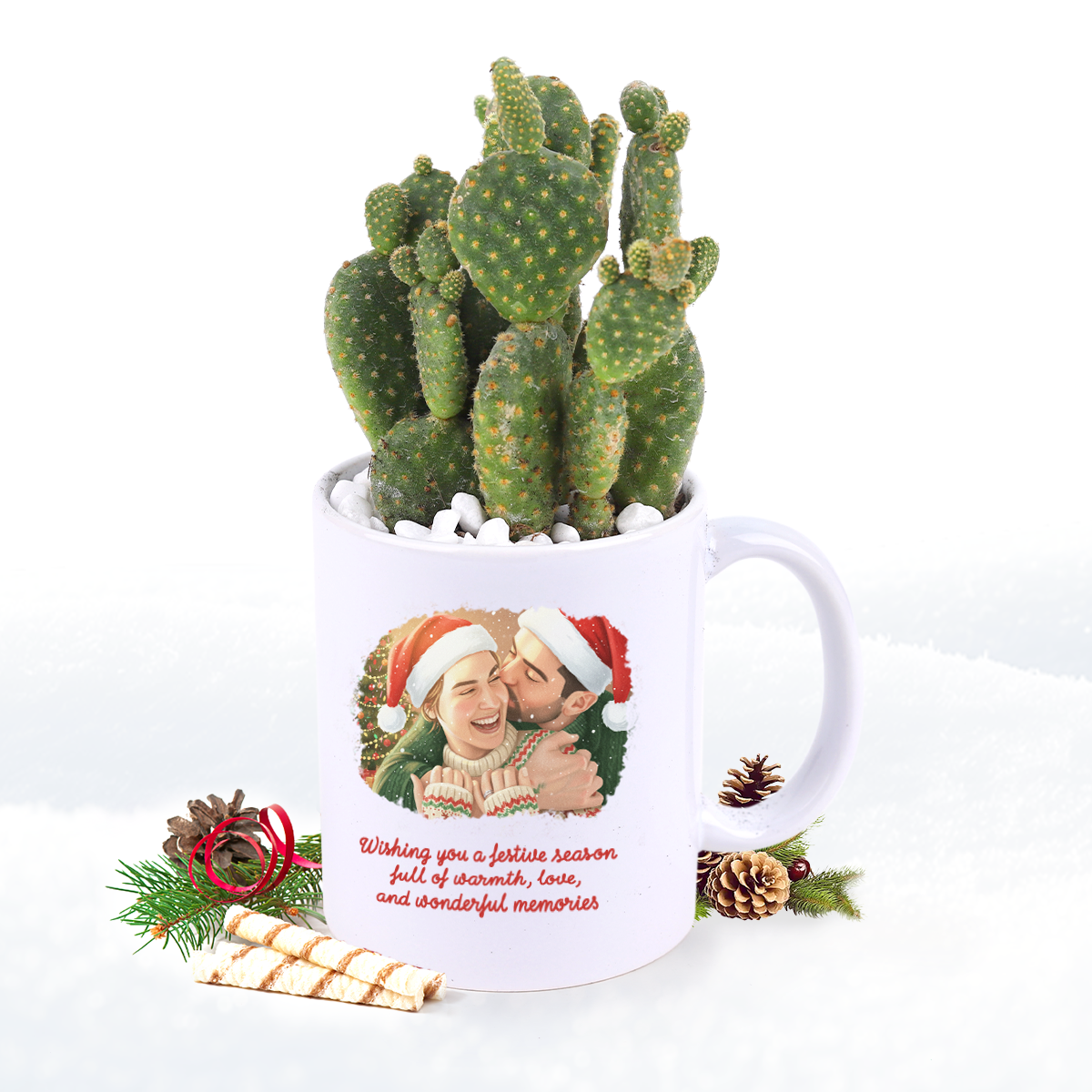 Bunny Ear Cactus