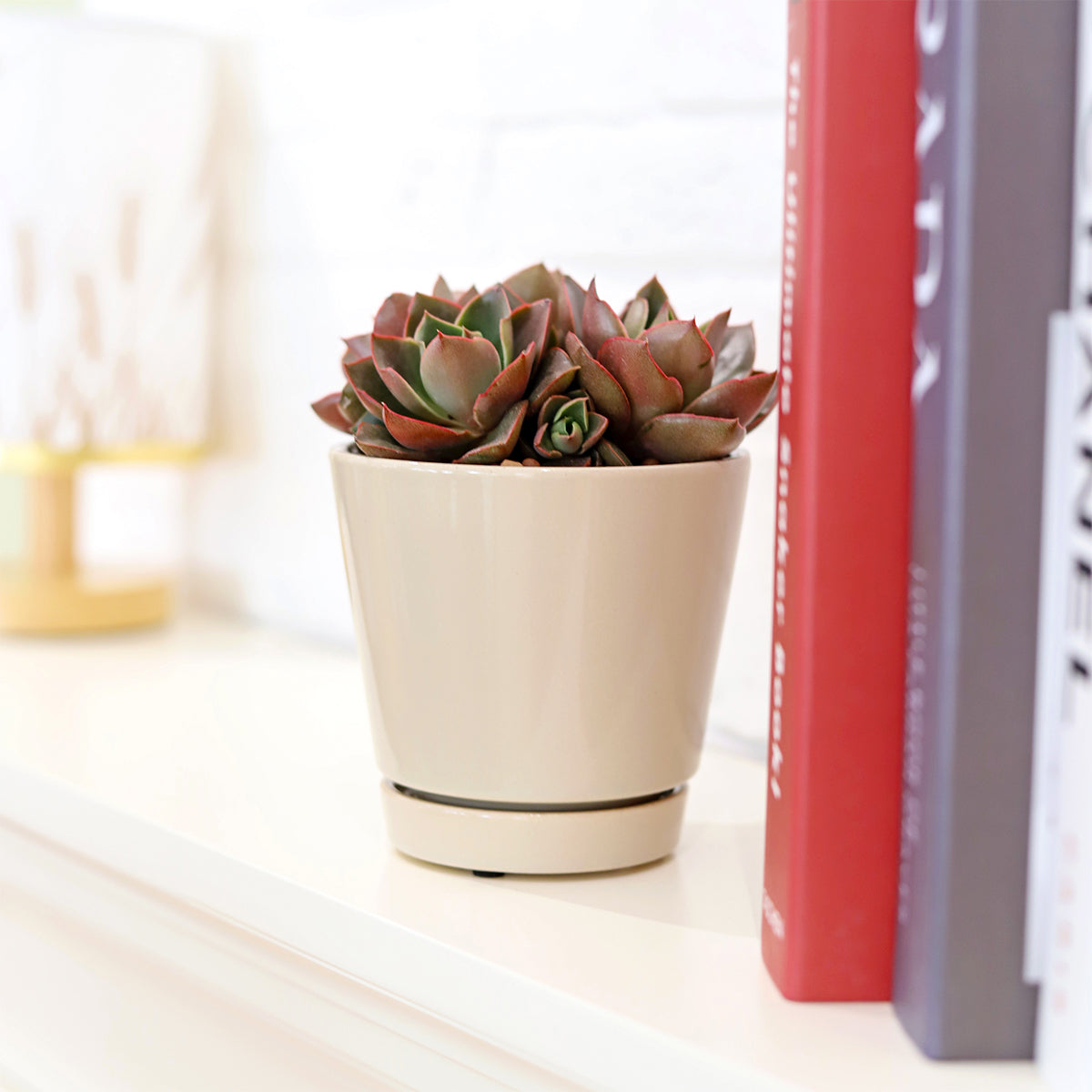 Pack of 3 Minimalist Ceramic Pots (White, Gray and Oatmeal)