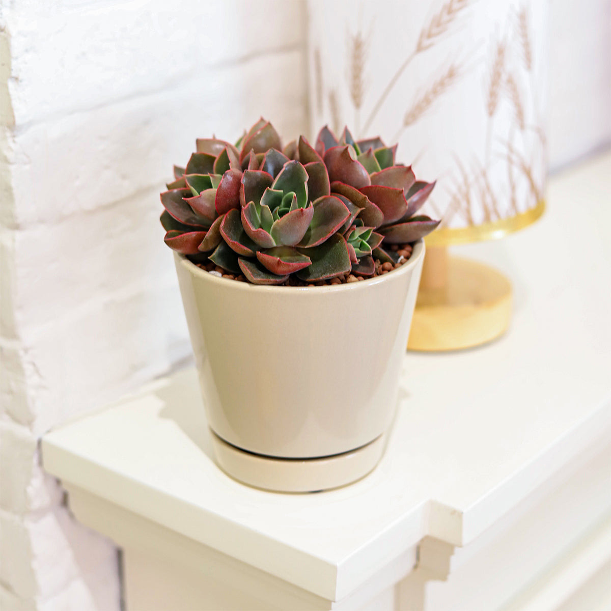 4 inch Oatmeal Minimalist Pot with Saucer