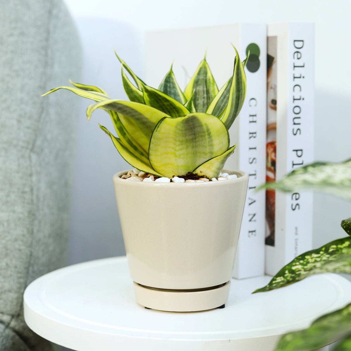 Pack of 3 Oatmeal Minimalist Ceramic Pots