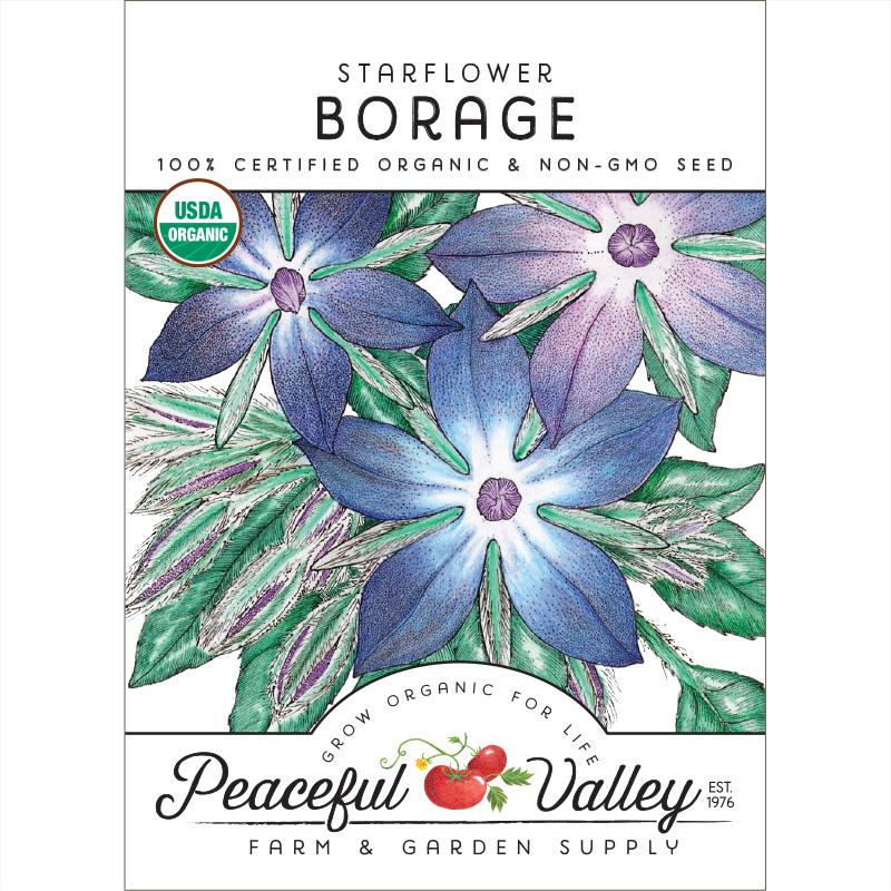 Borage Seeds (Organic)