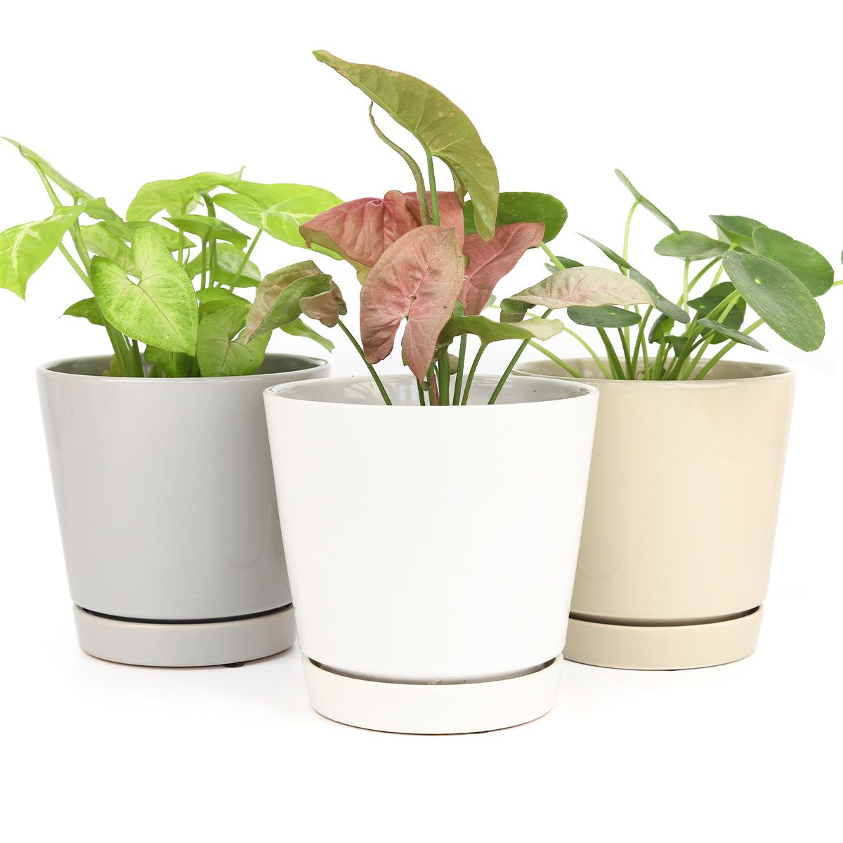 Pack of 3, 6" Minimalist Pots with Saucer (White, Gray and Oatmeal)