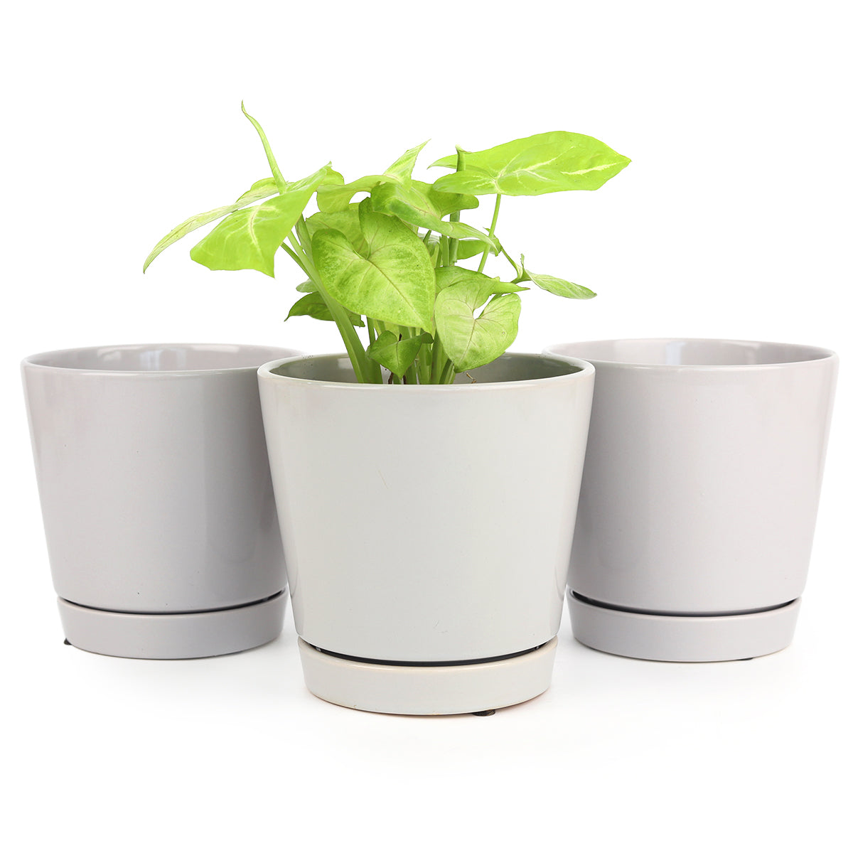 Pack of 3, 6 inch Gray Minimalist Pots with Saucer