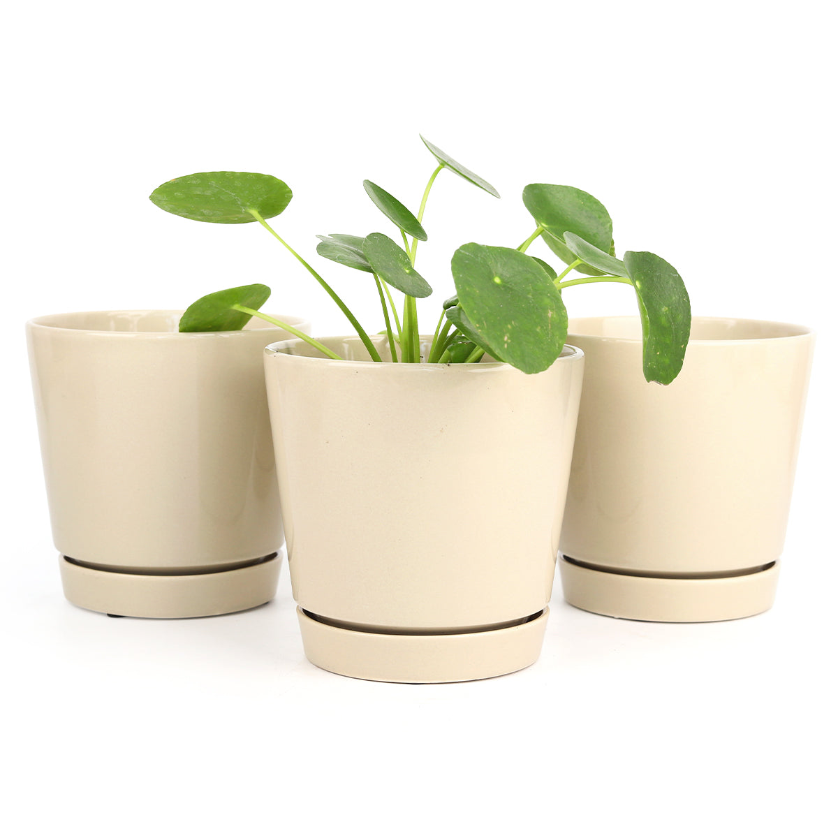 Pack of 3, 6 inch Oatmeal Minimalist Pots with Saucer