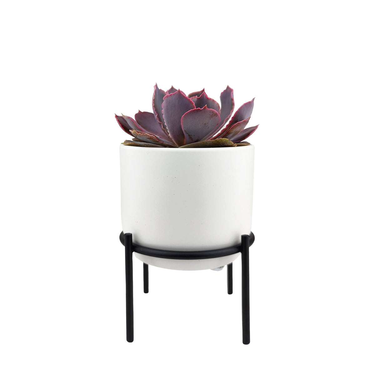 4 inch Solid White Ceramic Planter with Metal Stand