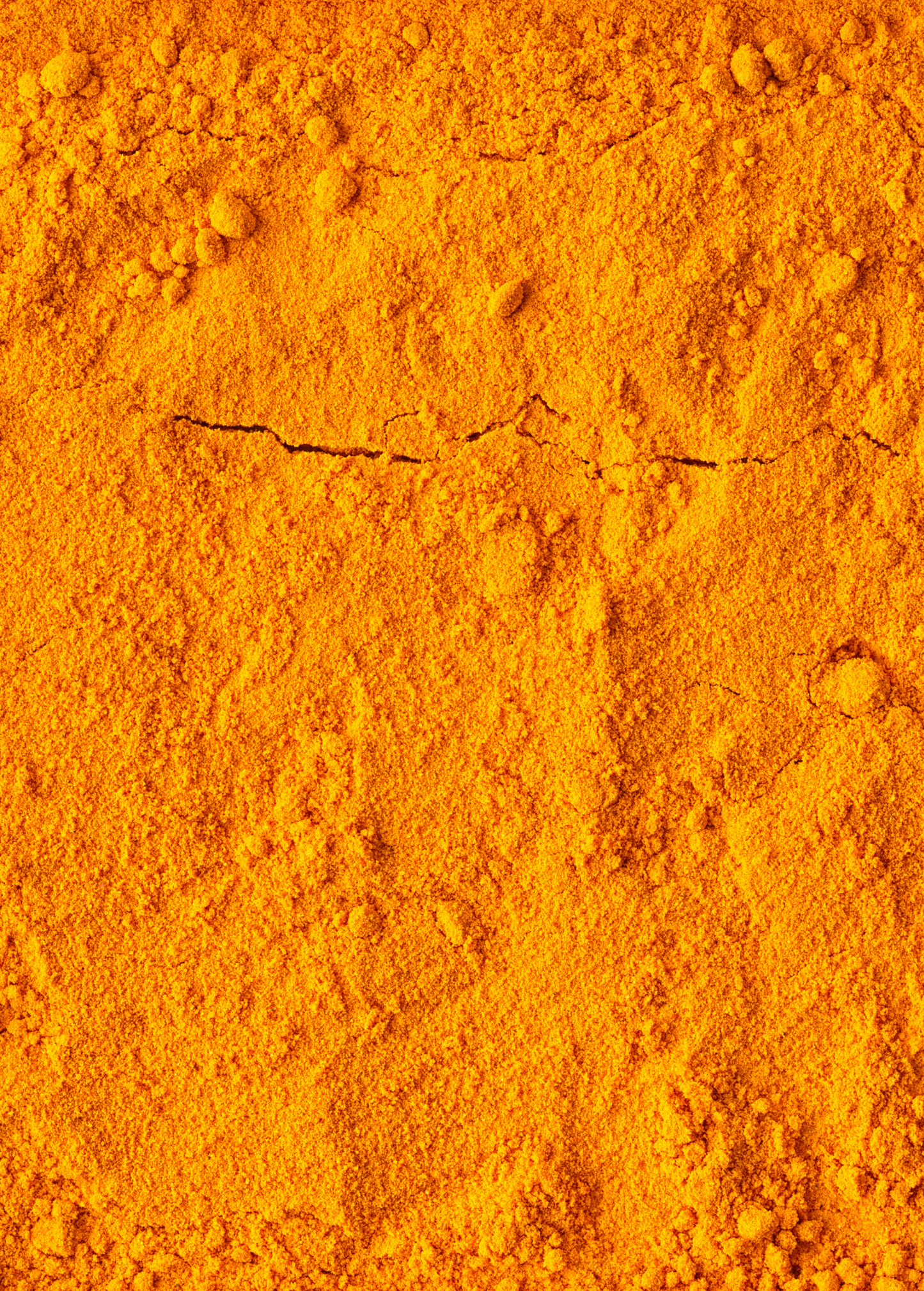 Turmeric, Orange (Curcuma longa)