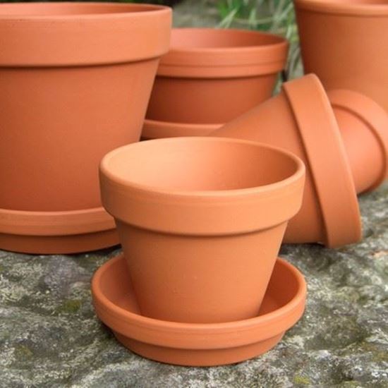 medium terracotta plant pots 2.5'' Terracotta Pot – Lovehopegrow