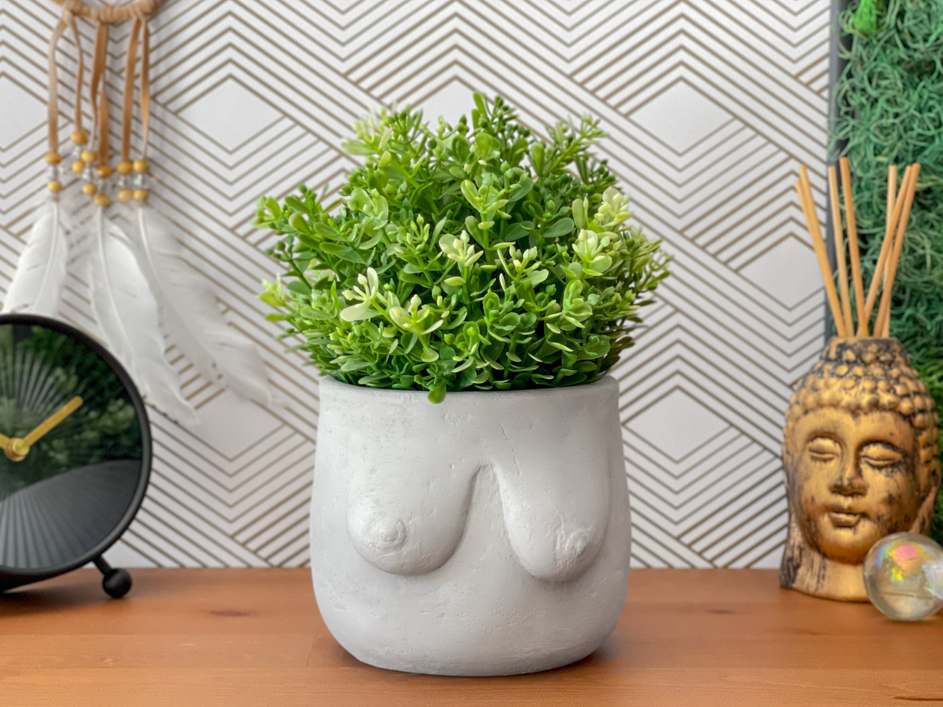 succulent boobs Boobs Planter