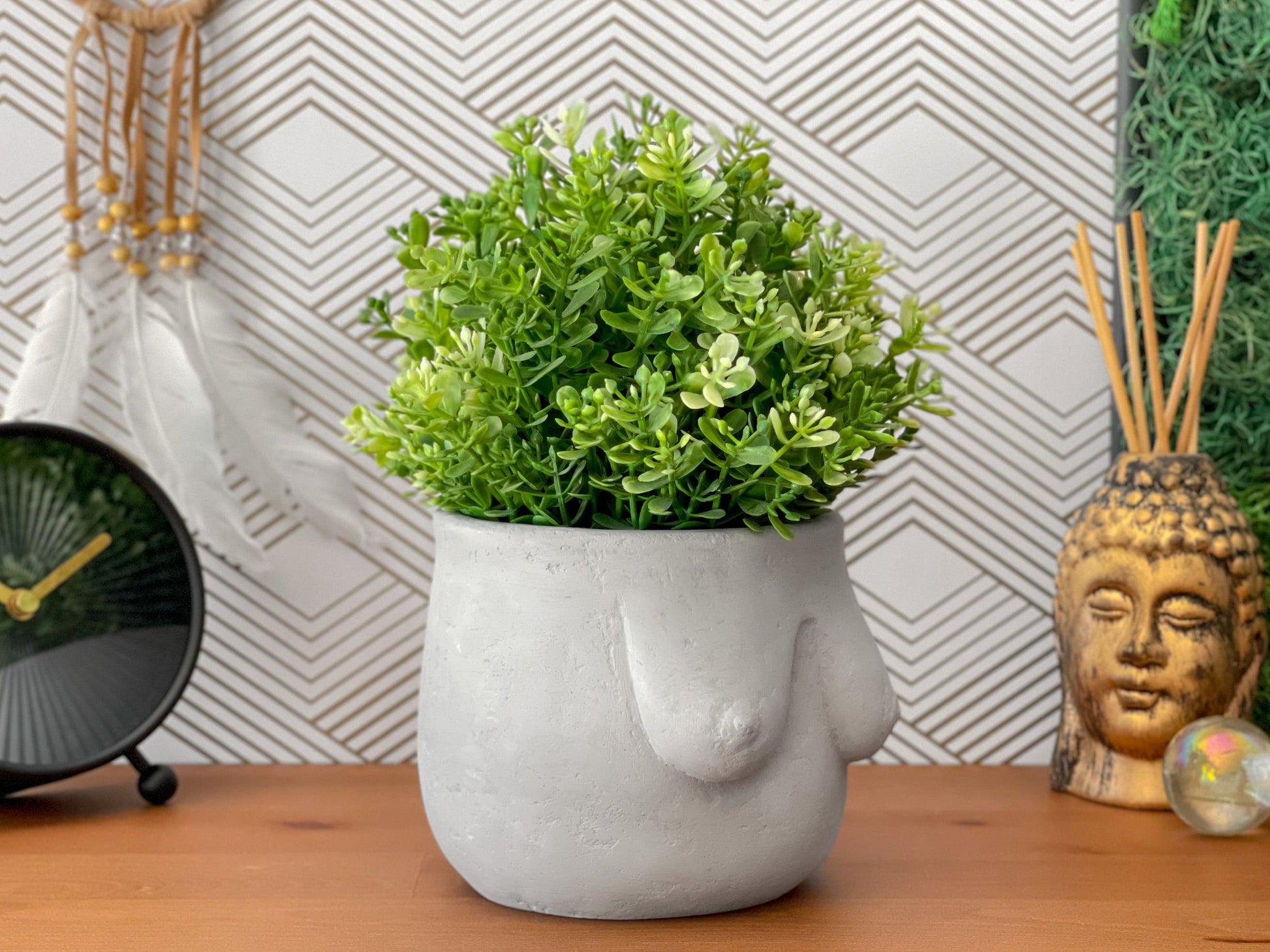 boob pot plant Boobs Planter