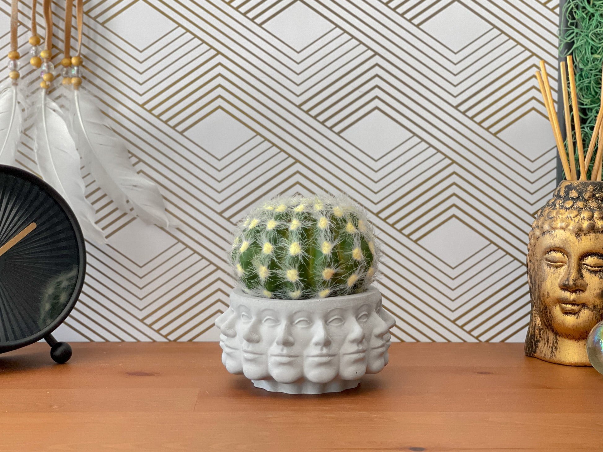 multi succulent planter Multi Face Succulent Planter – Lovehopegrow