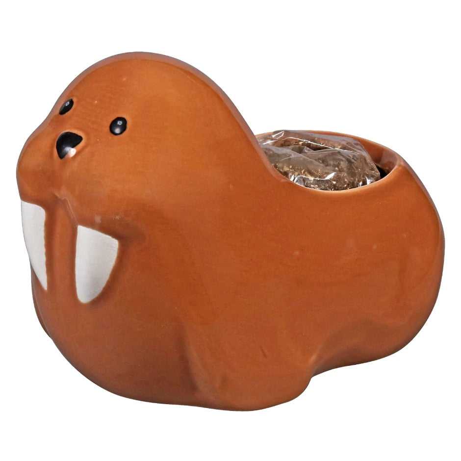 Walruses Pot With Seed Growing Kits