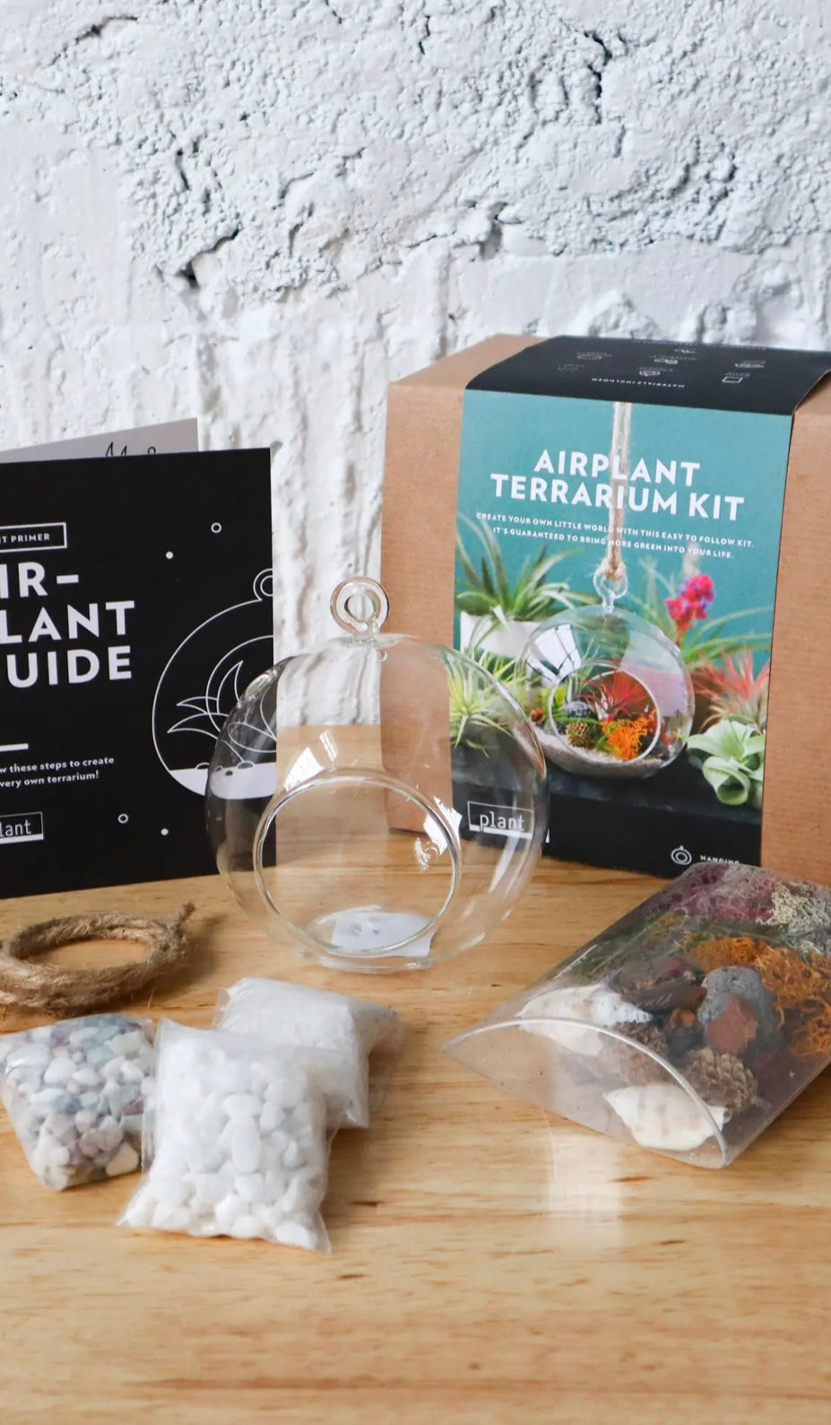 Terrarium Kit : Hanging Airplant