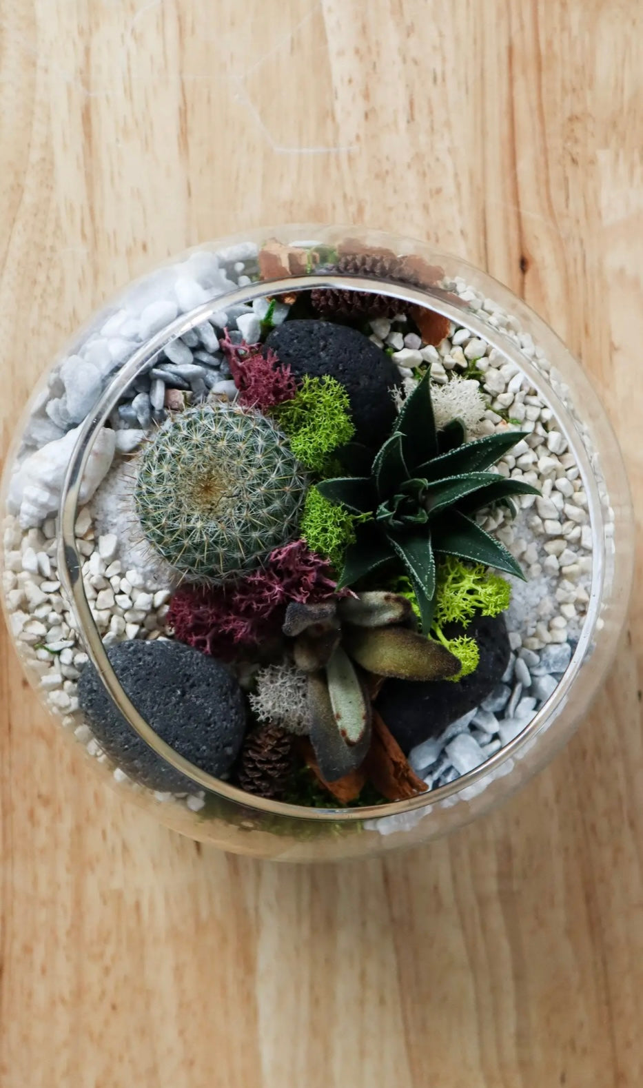 Terrarium Kit : Globe